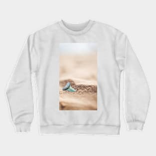 Shark Tooth in the Sand Crewneck Sweatshirt